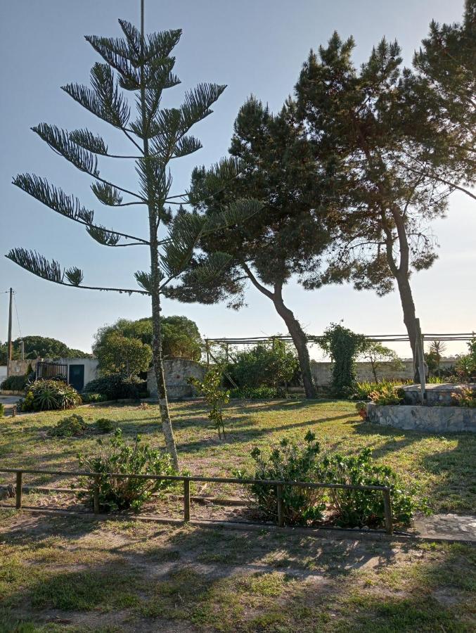 Brejos Da Comenda By In Alentejo Holiday home